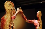Bodies - The Exhibition in New York