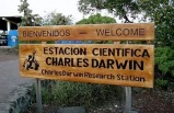 Cruising The Galapagos On Board The Santa Cruz with Ecuador's Tropical Forest