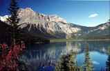 6-Day Vancouver, Canadian Rockies & Glacier View Summer Tour Package(Vancouver/Seattle Airport Pick-up) **Exclusively Stay One Night in Icefield and VIA Train Option**