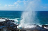 Most Special Kauai Tour of Ali'i Famous Movie Scenes & Hanalei