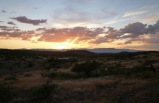 Wild West Horseback Dinner Ride *Las Vegas*