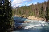 5-Day Canadian Rocky & Victoria Summer Tour Package (With Airport Transfers)**Starts in Calgary/Ends in Vancouver & Seatle**