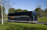 Los Angeles and San Diego Shuttle Bus (One Way/Round Way At Your Choice)
