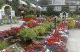 4-day Deluxe Northwest Sampler Tour Package