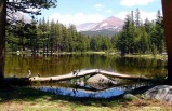8-Day California Coast and Yosemite Park Bus Tour