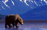 Spectacular Alaska!