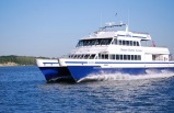 Boston Whale Watch Cruise