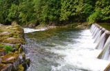 One Day Vancouver Tour