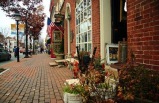 Mt. Vernon and Old Town Alexandria Tour