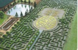 6-Day Pearl Harbor & Hawaii City, Little Circle Island, Island of Maui or The Big Island, Dole Plantation and Waikele Outlet Tour Package from Honolulu
