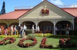 7-Day Pearl Harbor & Hawaii City, Little Circle Island, Island of Maui and The Big Island, Dole Plantation, Waikele Outlet Tour Package from Honolulu