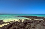 Ecuador & The Galapagos