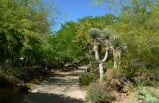 6-Day Bus Tour Package to Skywalk (Grand Canyon West), Las Vegas, Sea World, Universal Studios from Los Angeles