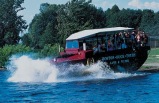 Boston Duck Tour