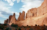 1-Day Grand Canyon National Park Bus Tour