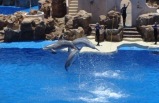 5-Day Bus Tour Package to Skywalk (Grand Canyon West), Las Vegas and Sea World from Los Angeles