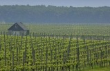 2-Day Long Island Wineries and Tanger Outlets Shopping Tour