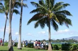 3-Day Hawaii Tour Package(A)