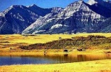 Spirit Of The Rockies W/ Alaskan Cruise Ext