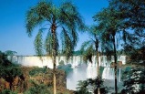 Amazonia Voyage With Rio & Iguassu