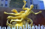 New York & Washington Dc