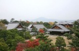 Tokyo & Kyoto