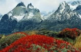 Patagonia & Chilean Fjords
