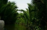 Southeast Asia & Mekong River Cruise
