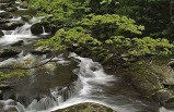 4-Day New York to Tennessee tour (Super Value Tour)