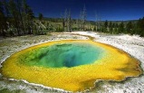 7-Day Yellowstone National Park, West Grand Canyon(Skywalk) Bus Tour (Start/End in Los Angeles)