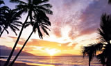 Hawaii Multi Day Tour Packages