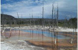 4-Day Yellowstone, Grand Teton Tour Package