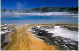 5-Day Yellowstone, Lake Powell Tour Package A