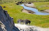 6 Days Yellowstone National Park, Grand Teton, Bryce Canyon, Zion National Park, Grand Canyon & Las Vegas Bus