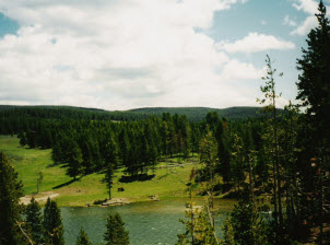 Tours4Fun's Yellowstone Bus Tours from Los Angeles Tours4Fun's Yellowstone Bus Tours from Los Angeles
