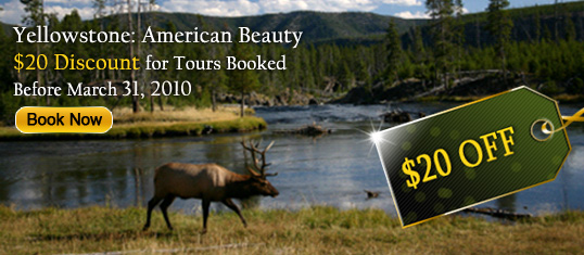 Yellowstone Tours Discount