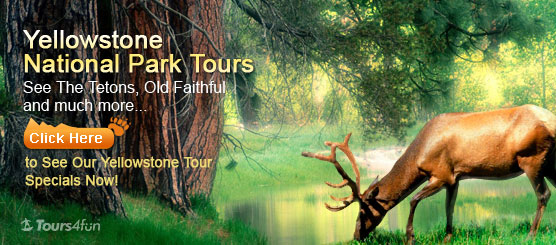 Yellowstone Tours