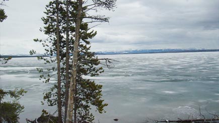 6 Días: Tour en Autobús al Parque Nacional de Yellowstone - Mt. Rushmore (Empieza en SFO - Finaliza en SLC) (Sin Billete de avión)