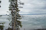 6 Days Yellowstone National Park, Mt. Rushmore Bus Tour