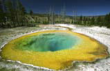 7 Days Yellowstone National Park, Mt. Rushmore Bus Tour A