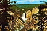 5 Days Yellowstone National Park Air Tour Package