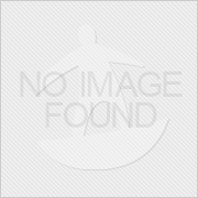 Featured Tour